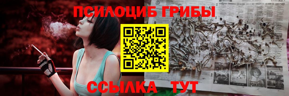 Псилоцибиновые грибы GOLDEN TEACHER  Вход с VPN  Дубна 
